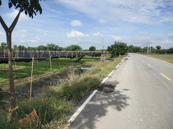 ขายที่ดิน 4 ไร่ 135 ตารางวา อ.ไทรน้อย จ.นนทบุรี หน้ากว้างติดถนนตัดใหม่ บรรยากาศดี โทร 065-365-4426